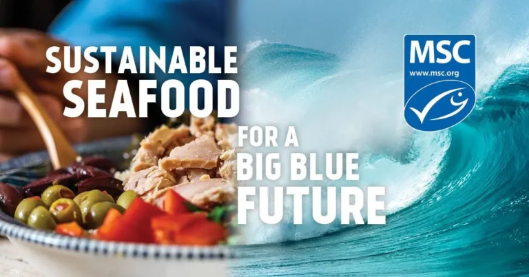 Your Seafood Choices May Impact Our Global Food Systems