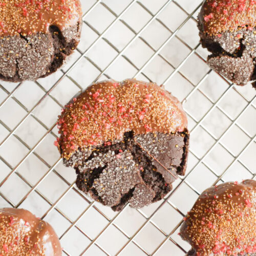 molasses cookies dipped in chocolate