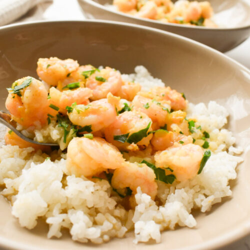 coconut milk shrimp bowl served over rice